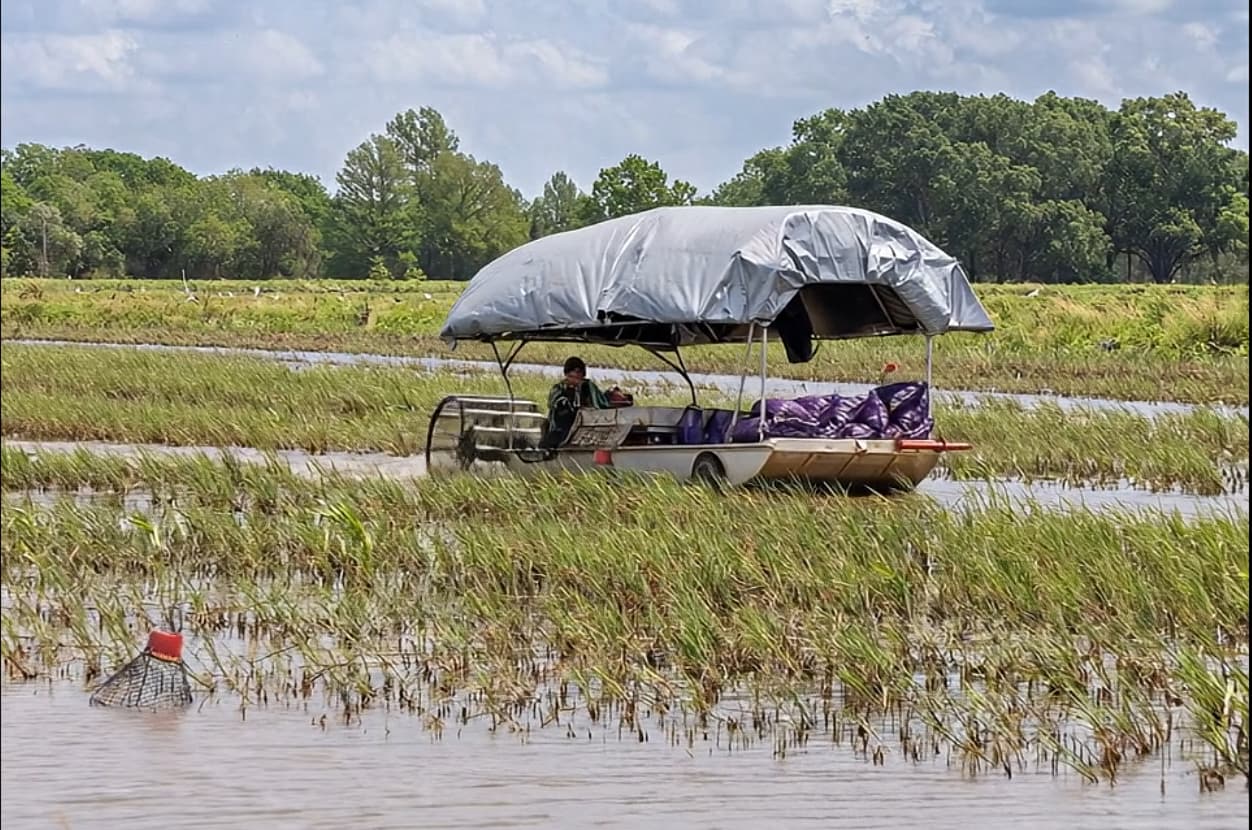 Live Crawfish Boat